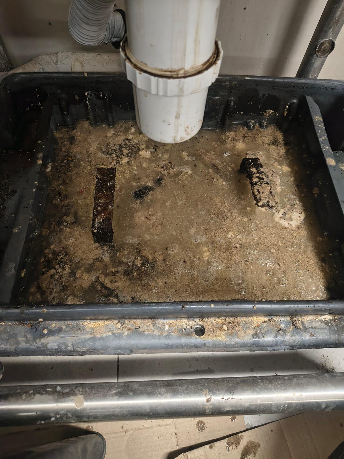 Trampa de grasa vegetal